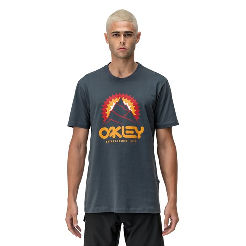 Camiseta Oakley Masculina Established Graphic Tee Casual