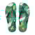Verde e Preto